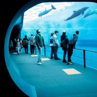 Padiglione Cetacei Acquario di Genova ph C. Corti DSC_1334_bassa-2